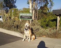 Freida At The Gas Station - image #1