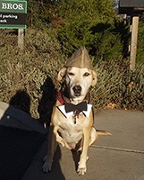 Freida At The Gas Station - image #2